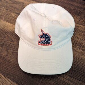 Adidas Boston Marathon Run-as-One Hat